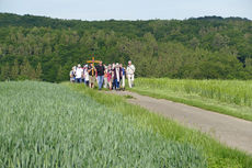 Baunataler Wallfahrt zur Naumburger Fatima Grotte (Foto: Karl-Franz Thiede)